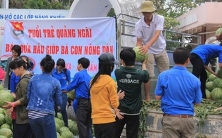 Báo Hà Nội Mới xin lỗi vụ tố tỉnh đoàn "ăn" 2.000 đồng/kg dưa