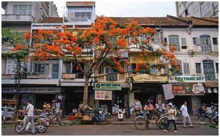 Xao xuyến ngắm Sài Gòn những năm 90, rực rỡ sắc màu và đẹp nôn nao...