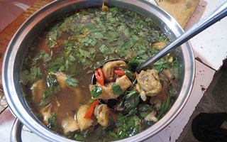 Lạ ngon lẩu gà nấu trái quách