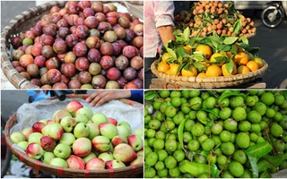 "Thổn thức" với những thức quà chỉ tháng 6 mới có