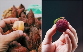 Mây Thái và thanh mai - 2 loại quả gây sốt ở Hà Nội  