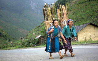 Phố Cáo trong tôi...