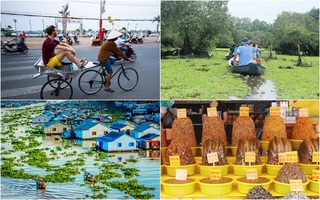 Cẩm nang du lịch Châu Đốc mùa nước nổi từ "A đến Z" 
