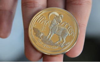Đồng xu mạ vàng, bạc in hình dê: Quà "độc" cho Tết Ất Mùi