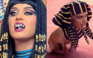 Katy Perry biến đàn ông thành... chó
