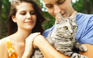 Chuyện hài hước về chàng, nàng và con mèo