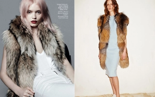 Gilet lông - Chiếc áo đẳng cấp và dễ mặc "không tưởng"
