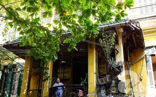 Hà Nội đẹp lung linh trong nắng đầu đông, khi bàng thay màu lá
