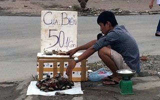 Cua biển nằm ngửa, 50 nghìn/kg tràn vỉa hè Hà Nội