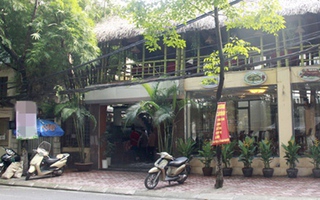 Nhà hàng nổi tiếng bị tố có gián chết ở đĩa rau