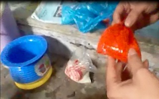 Video: Mục sở thị hóa chất “nhuộm” chim giá 6.000 đồng/gói/năm