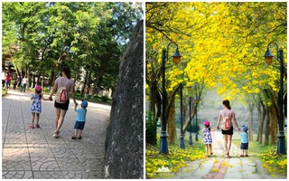 Đằng sau bức ảnh 3 mẹ con được chỉnh sửa đẹp lung linh khiến dân mạng mê mệt