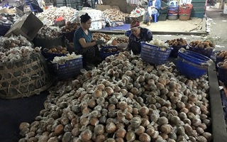 Sự thật cam Hà Giang quấn nilon ngập chợ Hà Nội