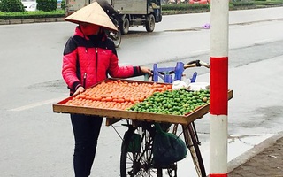 Mận chát đầu mùa: Chị hàng rong ngày thu chục triệu