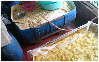 Kinh hãi thấy giòi bò lúc nhúc trong măng tươi ngâm