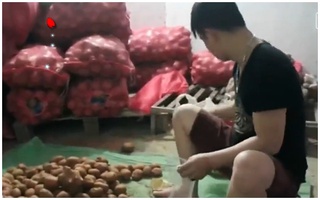 Clip: Đường đi của rau "bẩn" gắn mác rau an toàn vào siêu thị