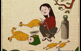 Tranh Đông Hồ thời nay khiến nhiều người phải "cười ra nước mắt"