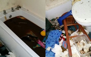 Kinh hoàng chuyện dùng bồn tắm làm toilet tại căn nhà bẩn nhất thế giới