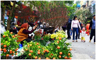 Đề xuất hai phương án nghỉ Tết Âm lịch 2017