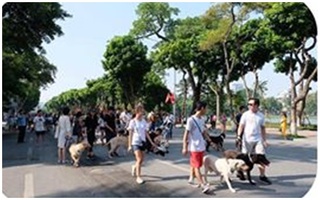 Hà Nội cấm chó không rọ mõm vào phố đi bộ quanh hồ Gươm