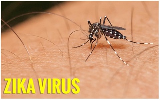 Thêm 1 bệnh nhi nhiễm virus Zika