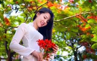 "Hotgirl" ngân hàng trẻ trung như nữ sinh pose ảnh bên hoa phượng