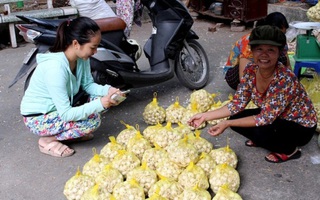 Hành tỏi Lý Sơn mang ra Hà Nội bán vì rớt giá: Không có chuyện "giả ế" để trục lợi