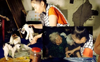 Thu Minh bất ngờ thăm cụ bà nuôi hơn 50 chú mèo