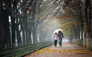 Điểm hẹn hò mới dành cho các cặp đôi ở Hà Nội và Sài Gòn