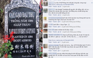 Cư dân mạng chết cười vì những lỗi dịch thuật ngớ ngẩn