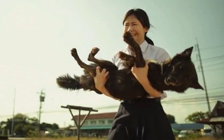 Clip cảm động về chú chó "bị ghét" khiến bạn phải rơi nước mắt 