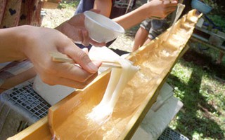 Tới Nhật ăn món mì... máng tre