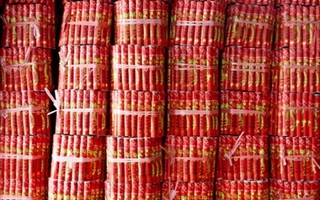 Trung Quốc: Nổ nhà máy sản xuất pháo hoa, 15 người chết