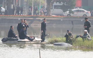 "Cụ" rùa nổi lên tắm nắng dưới chân tháp Rùa trước thềm năm mới