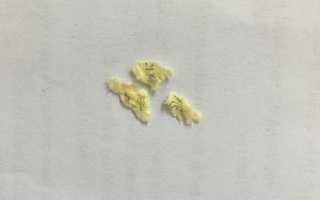 Trứng gà chứa giấy ghi chữ lạ bên trong: Chuyên gia nói gì?
