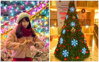 Thích thú chiêm ngưỡng những cây thông Noel khổng lồ tuyệt đẹp ở Hà Nội
