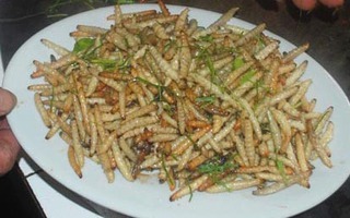 Lên Mường Lát ăn... sâu