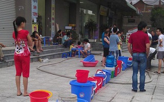 Nỗi khổ trời đày: ‘Chết khát’ giữa lưng trời Hà Nội