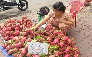 Thanh long ruột đỏ 10.000 đồng/4kg