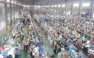 "Bi hài" cử nhân giấu bằng, xin làm công nhân: Quan trọng là phải biết... chửi nhau
