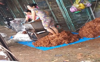 Cận cảnh công nghệ làm me vắt... bằng chân bẩn