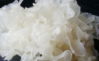 Món ăn thuốc từ ngân nhĩ