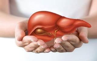 Men gan tăng cao gây nguy hiểm gì?