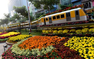 Tết đến đường hoa ngắm metro