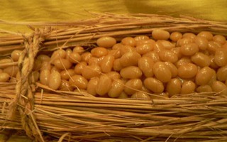 Natto – Bí quyết cho xương chắc khỏe của người Nhật