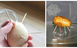 Cắm tăm vào củ khoai trong lò vi sóng, bạn sẽ tự hỏi sao mình không biết mẹo này sớm hơn