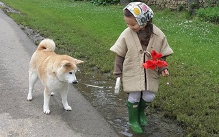 Cô bé 3 tuổi lai Hàn - Pháp và chú chó Pompon: Tình bạn làm "náo loạn" Instagram vì độ dễ thương 