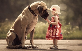 Mê mẩn trước những bức ảnh bé và thú cưng vui đùa giữa thiên nhiên tươi đẹp