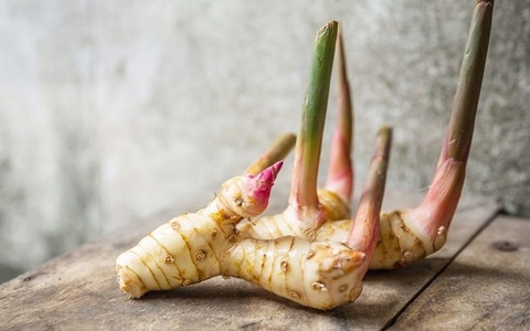 Ở Việt Nam có 3 loại củ "rẻ như cho" nhưng công dụng lại sánh ngang thuốc quý, loại thứ 2 có thể chống được 8 loại ung thư nhưng ít ai biết