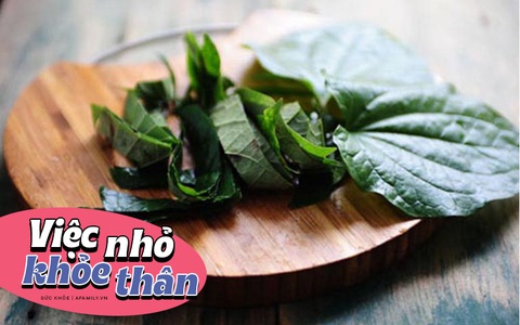 Dùng lá lốt theo mẹo siêu đơn giản này, cơn đau lưng sẽ nhanh chóng bị đánh bay mà không tốn tiền uống kháng sinh!